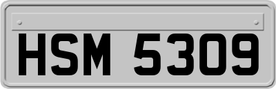 HSM5309