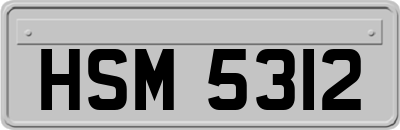 HSM5312