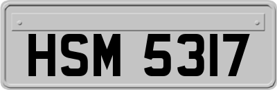 HSM5317