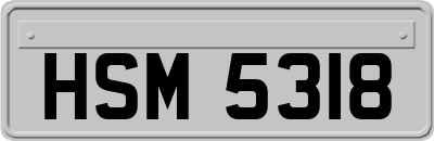 HSM5318
