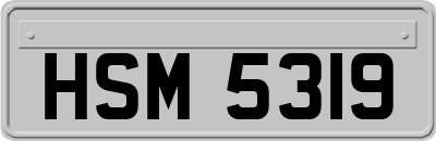 HSM5319