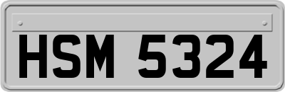 HSM5324