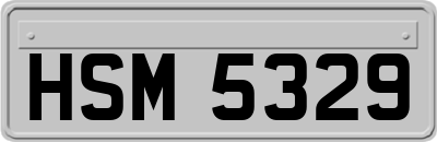HSM5329