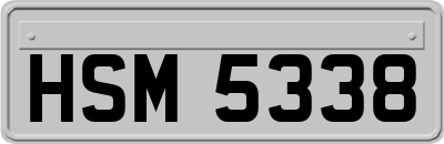 HSM5338