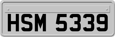 HSM5339
