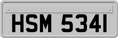 HSM5341