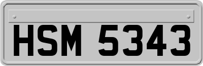 HSM5343