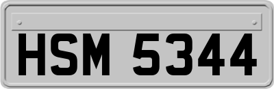HSM5344