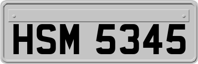 HSM5345