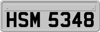 HSM5348