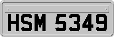 HSM5349