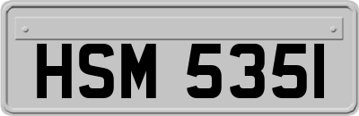 HSM5351