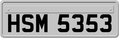 HSM5353