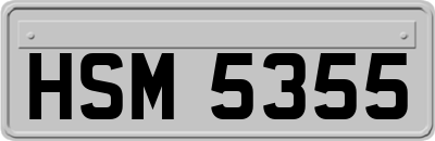HSM5355