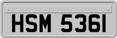 HSM5361