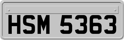 HSM5363