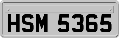 HSM5365