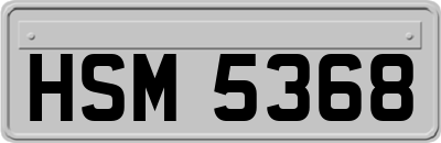 HSM5368