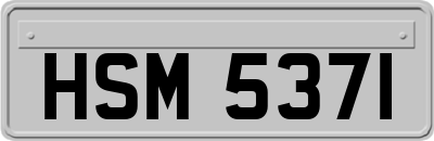 HSM5371