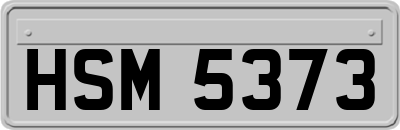 HSM5373