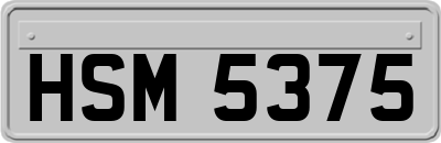 HSM5375