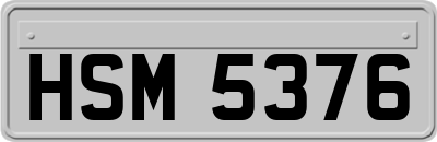 HSM5376