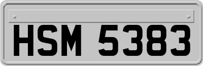 HSM5383