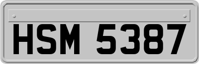 HSM5387