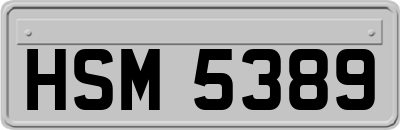 HSM5389