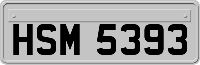 HSM5393
