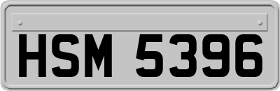 HSM5396