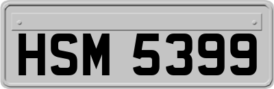 HSM5399