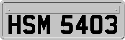 HSM5403