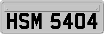 HSM5404