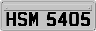 HSM5405