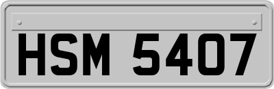 HSM5407