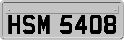 HSM5408