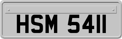 HSM5411