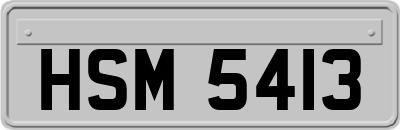 HSM5413