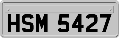 HSM5427