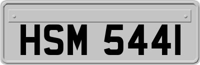 HSM5441