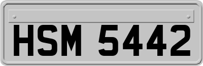 HSM5442