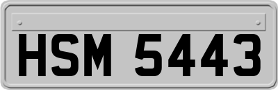 HSM5443