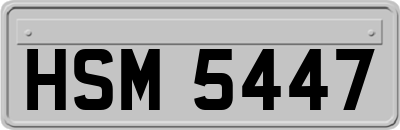 HSM5447