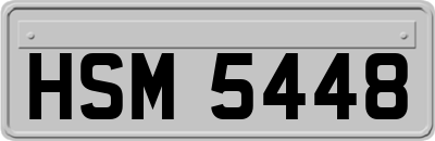 HSM5448