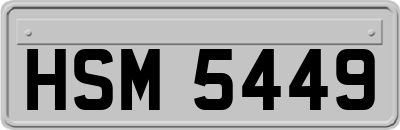 HSM5449