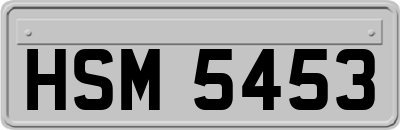 HSM5453
