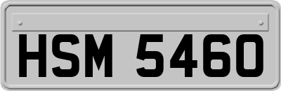 HSM5460