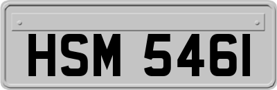 HSM5461