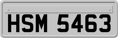 HSM5463
